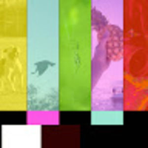 Meet your Posher, Spencer